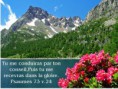 Sagesse et Persévérance - Jacques 1:5 à 7